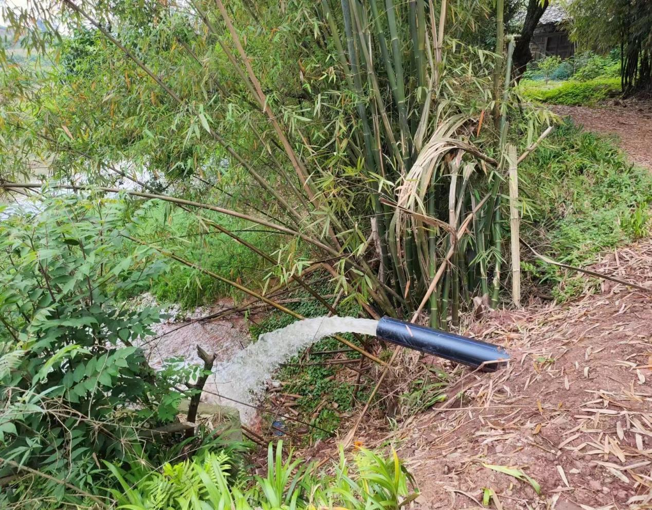 8dced02644e94d47a8978108e569dd09